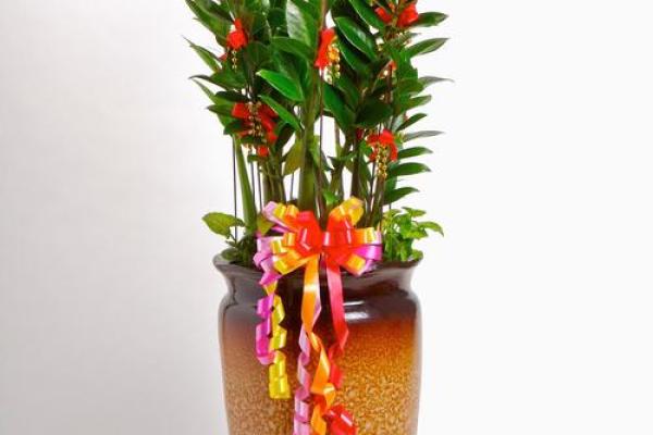 属羊杨柳木命适合养什么花，提升运势的最佳选择