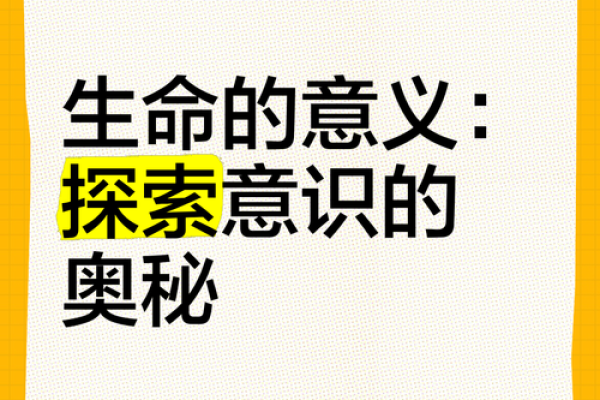 什么是什么命：探索生命的意义与方向