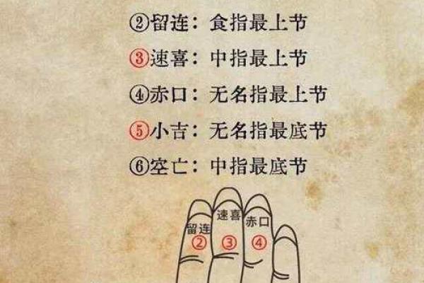 男食指短无名指长,命理解析与人生启示 男食指短无名指长,命理解析与人生启示