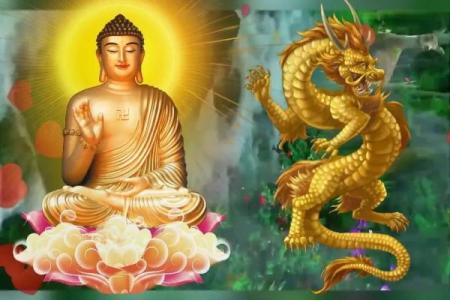 属龙64年：探究其命理与人生路上的智慧启示