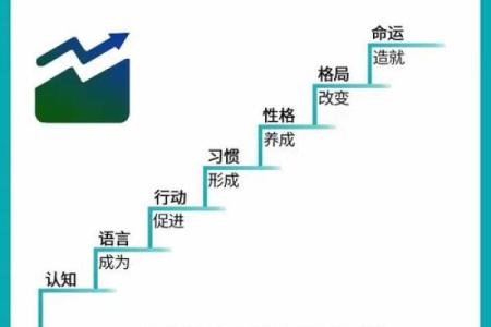 命运的格局：如何看懂生活中的每一个选择与机遇