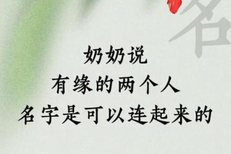 贺姓女孩土命如何取名：寓意深远的名字选择技巧与建议