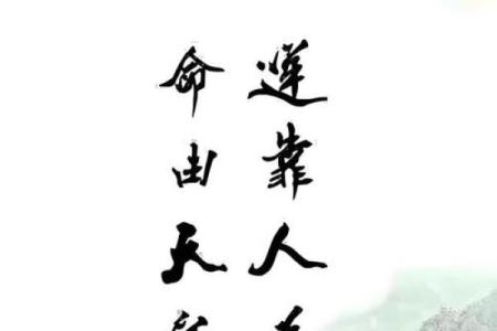 八字命理师必备特质：你的命中注定吗？