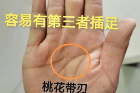 揭开手纹中的秘密：金星线与命运的奥秘
