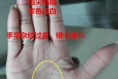 手相揭秘：掌中小元宝，富贵之命的真相！