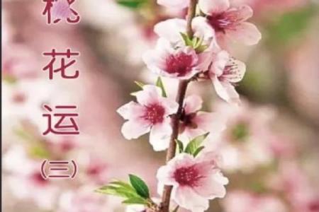 命里没有桃花，如何逆转爱情运势？