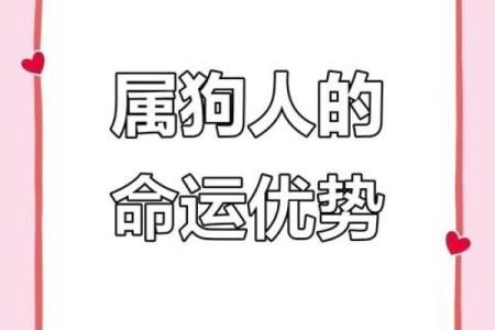 属狗人火命的生活与命运：探讨热情与忠诚的结合