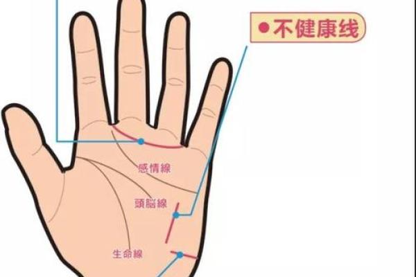 揭密手纹之谜:解读第三条线对命运的影响 揭密手纹之谜:解读第三条线对命运的影响