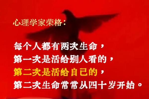 揭开《造命宗镜集》的神秘面纱：一个关于人生哲学的探索之旅