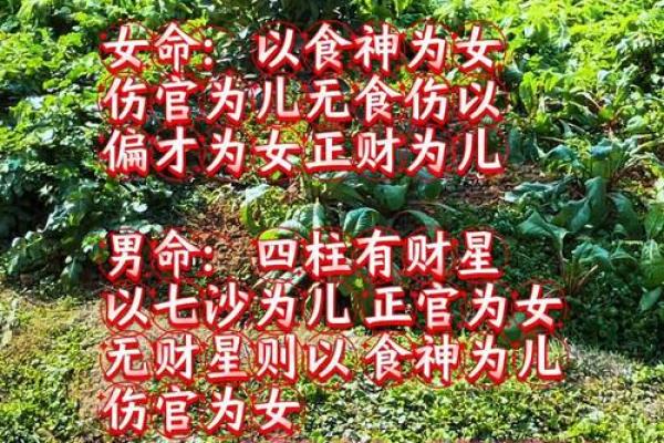 女命财星坐贵人的深刻解析与人生启示