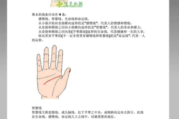 手掌纹路解析：你相信面相与命运相关吗？