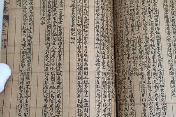 男命带垣城：解密命理中的福德与挑战之道