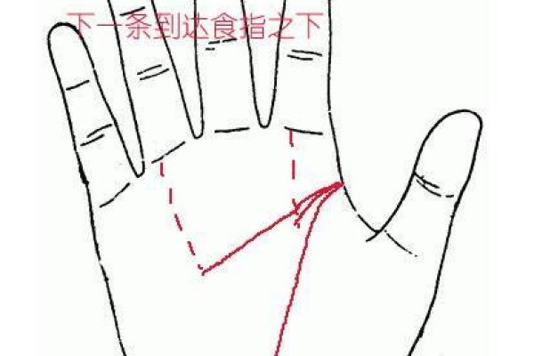 手相兑宫：探秘五行命理与人生道路的奥秘