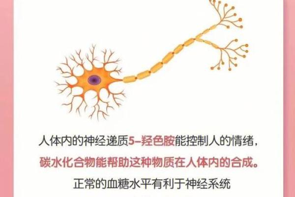 沙中土命的贵人解析：如何寻找到命中的助力源泉？