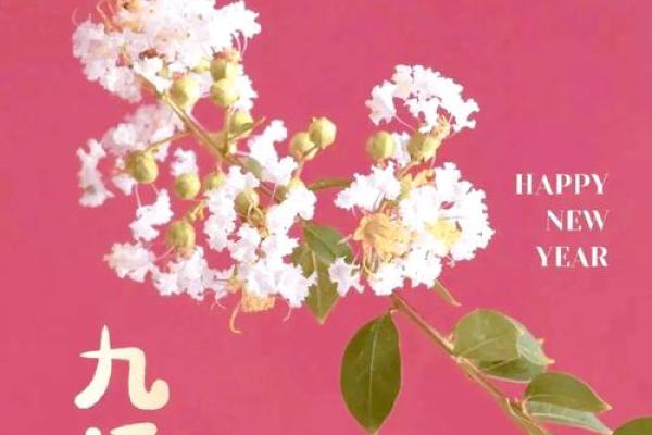 壬寅年正月初二的命理解析：揭示你的命运之路