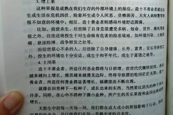 石榴木命的深刻解析与生活中的启示
