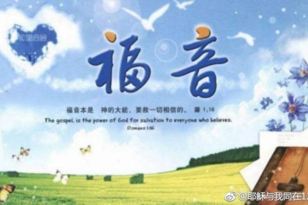 石榴木命的深刻解析与生活中的启示