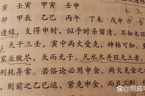 深入探讨壬寅命理组合的魅力与特征,揭示人生密码 深入探讨壬寅命理组合的魅力与特征,揭示人生密码