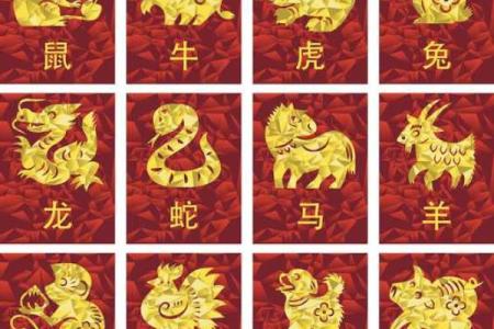 揭秘女性生肖属相：探索她们的命运密码与魅力之源