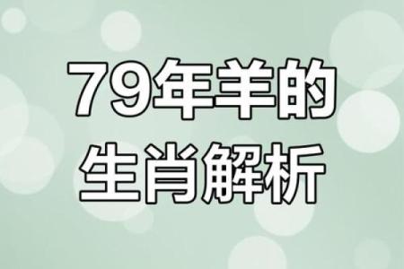 属羊女生的命运解析：温婉与智慧的完美结合