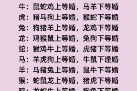 牛与鸡的五行命理解析：解密属牛属鸡的命运特征与人生路径