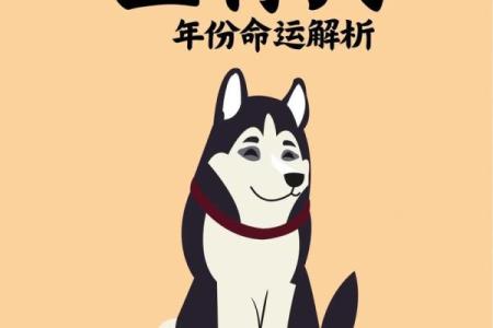 七六年属狗的命运与性格特征解析