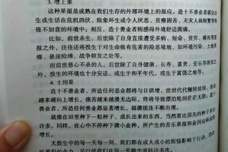 石榴木命的深刻解析与生活中的启示