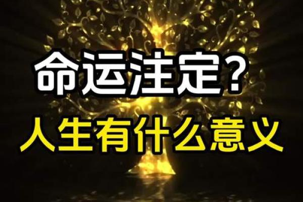 命的意义：如何理解人生的赋予与选择