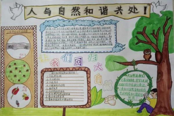 槡寨木命人：与自然和谐共生的人生之路