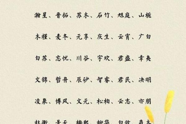 木命男孩如何选择有助于命运的名字与伴侣