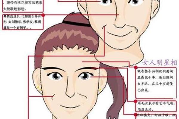 面相揭秘:不同脸型女性与旺夫运的微妙关系 面相揭秘:不同脸型女性与旺夫运的微妙关系