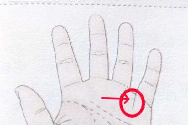 揭示富贵命的秘密：数字如何影响我们的财富与命运