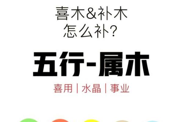 木命鸡男士适合佩戴哪些饰品与吉祥物？全面解析