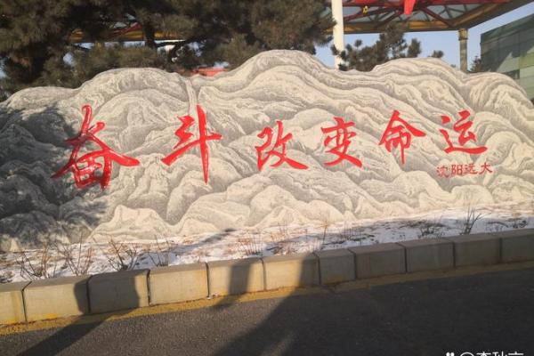 三十八岁的牛命：命运的转折与挑战的启示