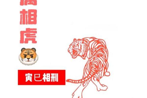 属虎女寅时出生,解析她们独特的命运与人生轨迹 属虎女寅时出生,解析她们独特的命运与人生轨迹