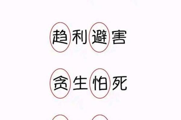 人世间最难测的是什么命：命运的深邃与不可知性探讨