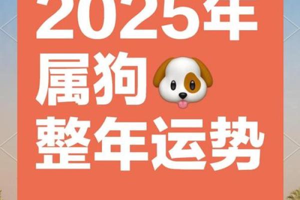属狗的1994年出生者的命运解析与生活建议 属狗的1994年出生者的命运解析与生活建议