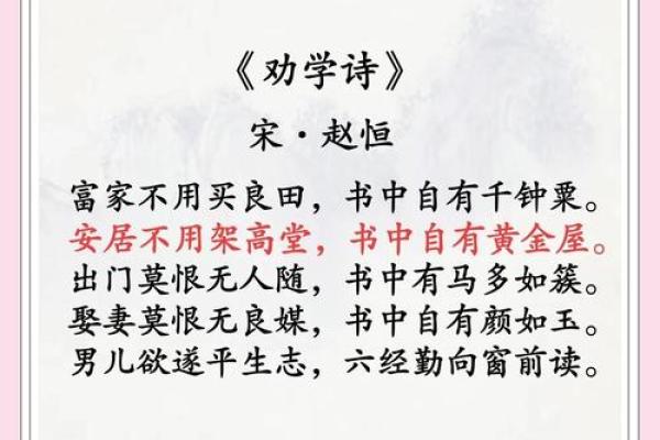 什么命格的人注定书香满室，学习之路充实无遗？