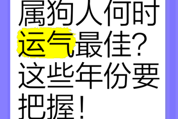 属狗之人的阳气重，命运与性格间的奥秘探讨