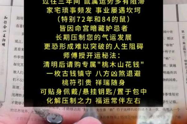 属鼠1984年命理分析与人生运势探讨