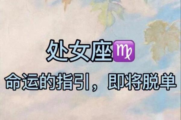 命运的指引：如何根据生命的轨迹选择理想方向