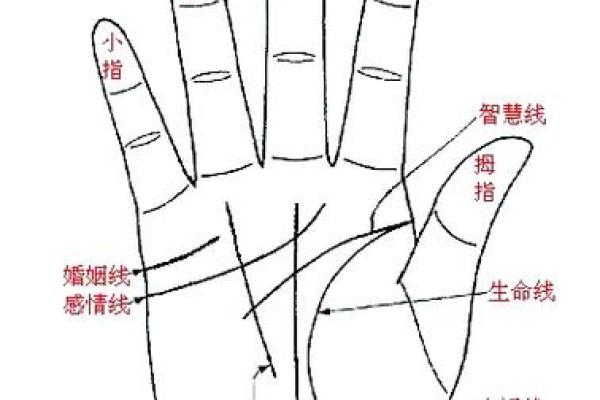 女人面相手相看什么命，揭示生命秘密的窗口