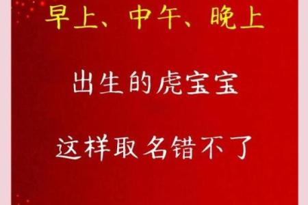 属虎人的命运解析：探讨虎年出生的人生属性与性格特征