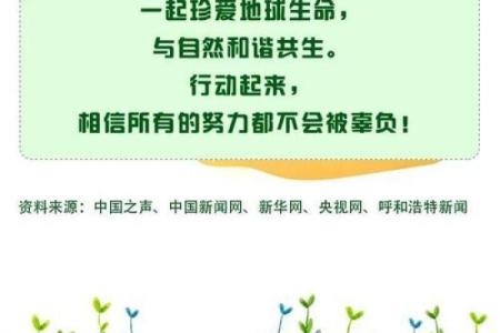 槡寨木命人：与自然和谐共生的人生之路