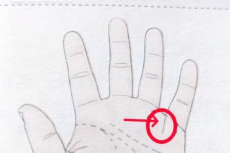 揭示富贵命的秘密：数字如何影响我们的财富与命运