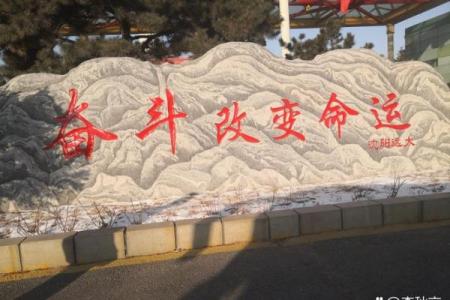 三十八岁的牛命：命运的转折与挑战的启示