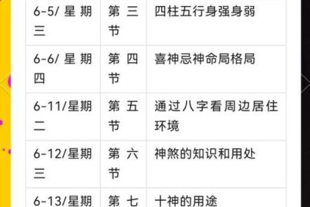 根据算命揭示你的未来命运，探寻命运中的奥秘与启示