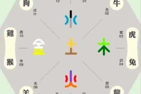 揭秘八字中那些有大官命的特征与解析