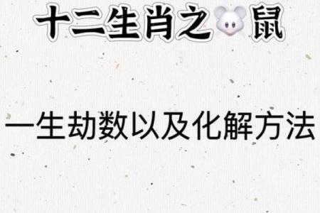 属鼠1984年命理分析与人生运势探讨