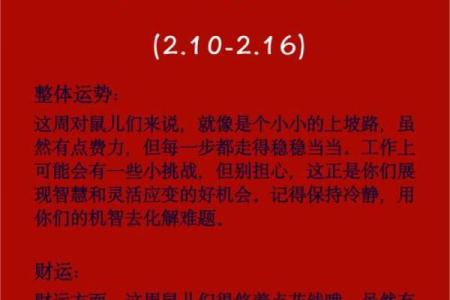 属鼠七二年出生的人，揭秘他们的命运与个性！